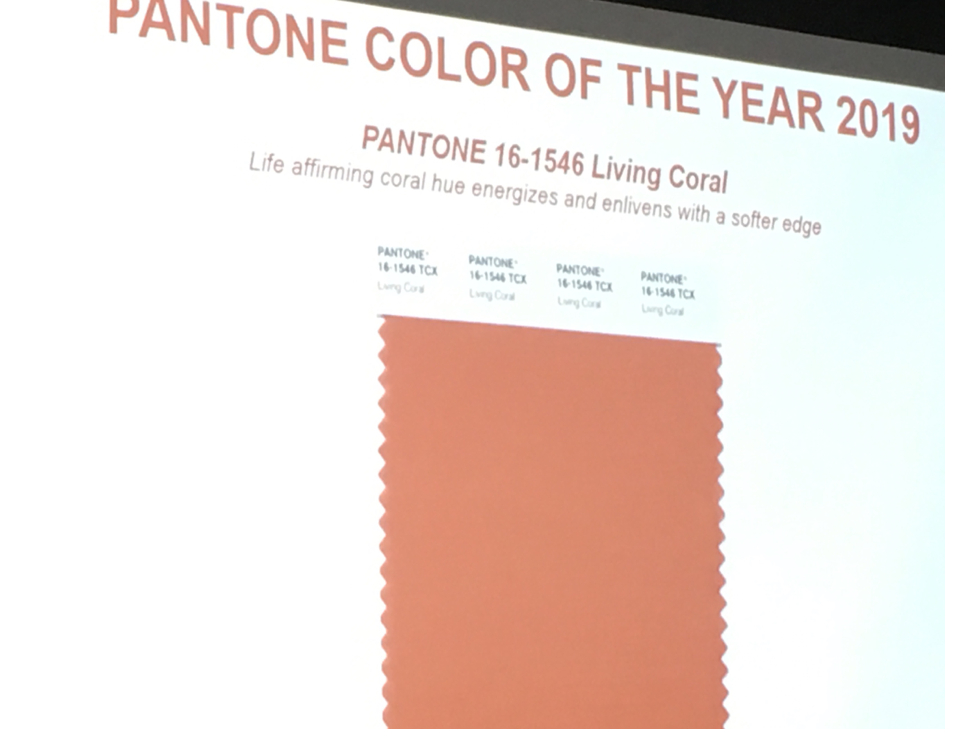 Living Coral is Pantone’s color of the year
